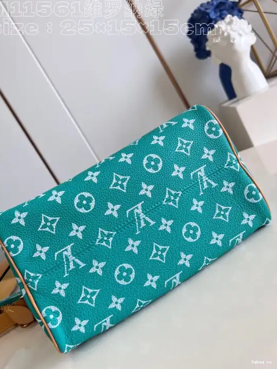 SPEEDY Vuitton Louis 25 0707